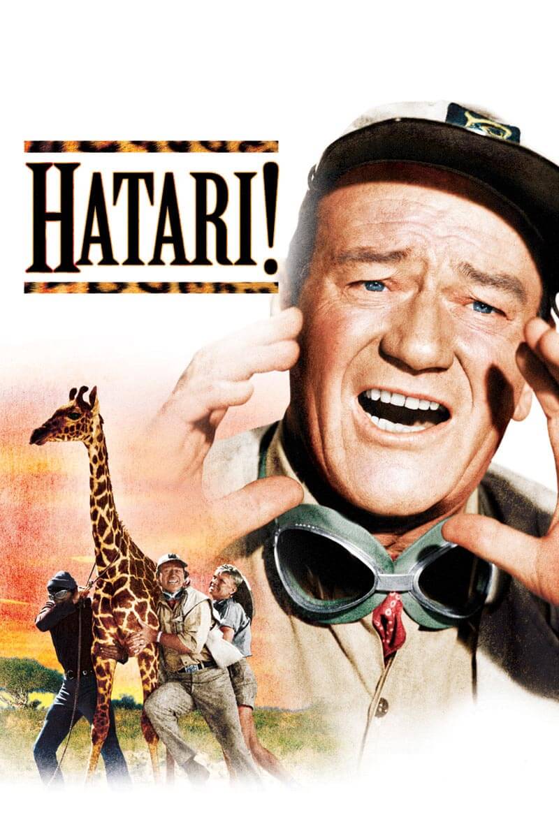 Watch Hatari DVD Blu ray or Streaming Paramount Movies