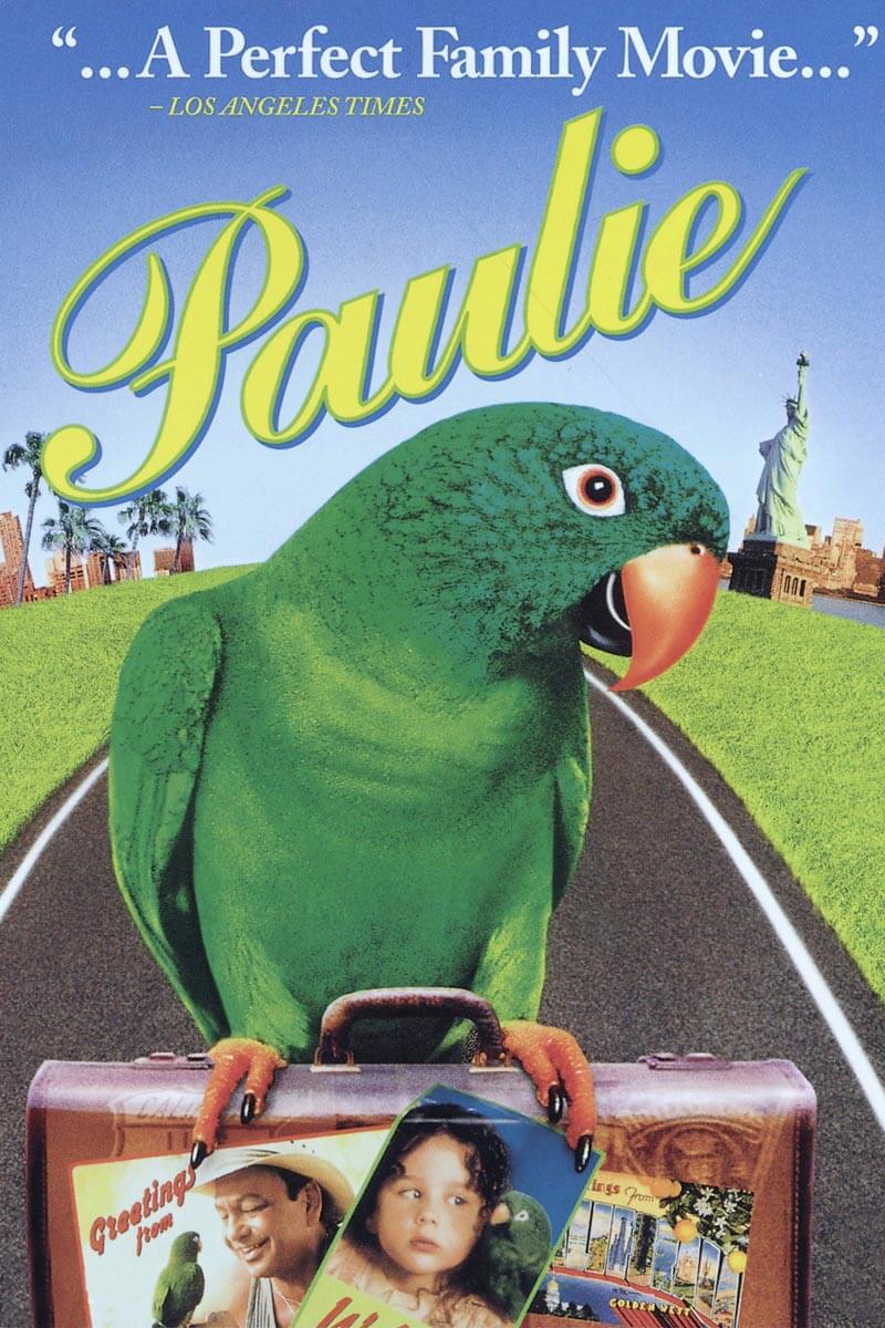 Watch Paulie | DVD/Blu-ray or Streaming | Paramount Movies